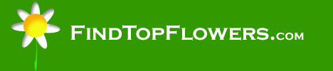 FindTopFlowers.com